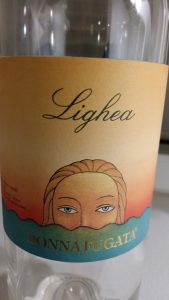Lighea 1